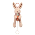 Babyono Rabbit Karo Musical Pull Toy