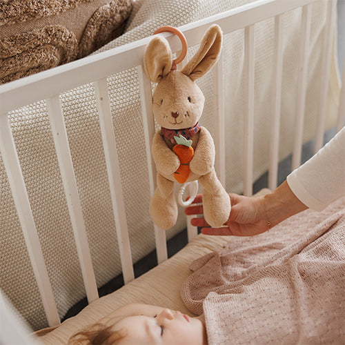 Babyono Rabbit Karo Musical Pull Toy