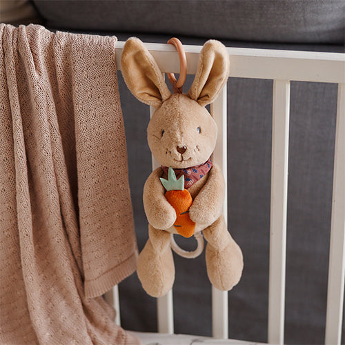 Babyono Rabbit Karo Musical Pull Toy