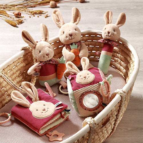 Babyono Rabbit Karo Squeaker Toy with Teether 6m+