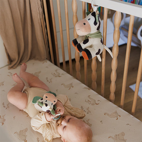 Babyono Cow Bingo  Musical Pull Toy