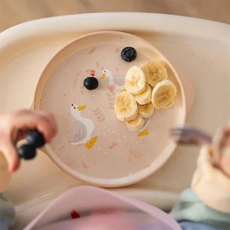 Babyono Toddler Feeding Set 12m+ 3 pcs - Goose