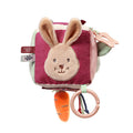 Babyono Rabbit Karo Sensory Cube